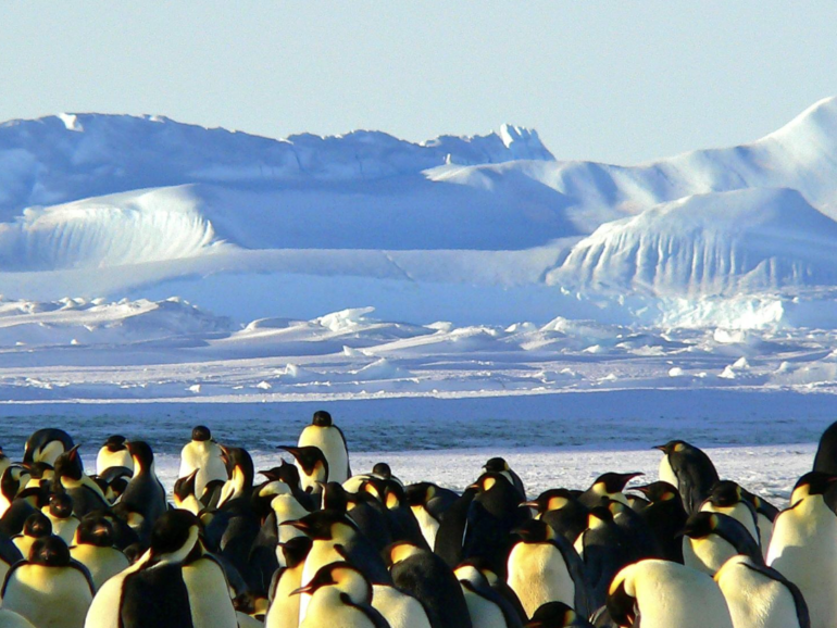 Antártida — El extremo que transforma: glaciares, fauna y expediciones para el cuerpo y la mente 🧊✨